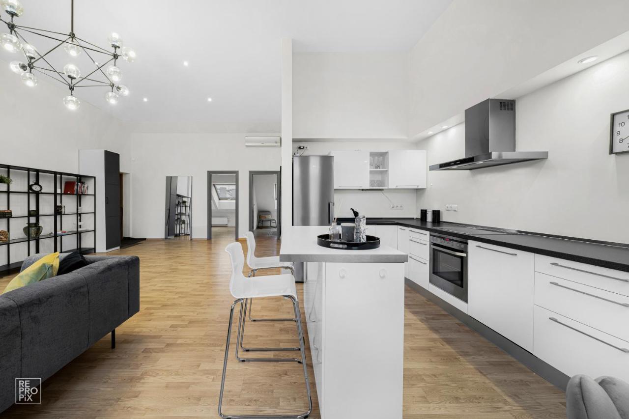 Kaunas Old Town Apartment With Underground Parking Buitenkant foto